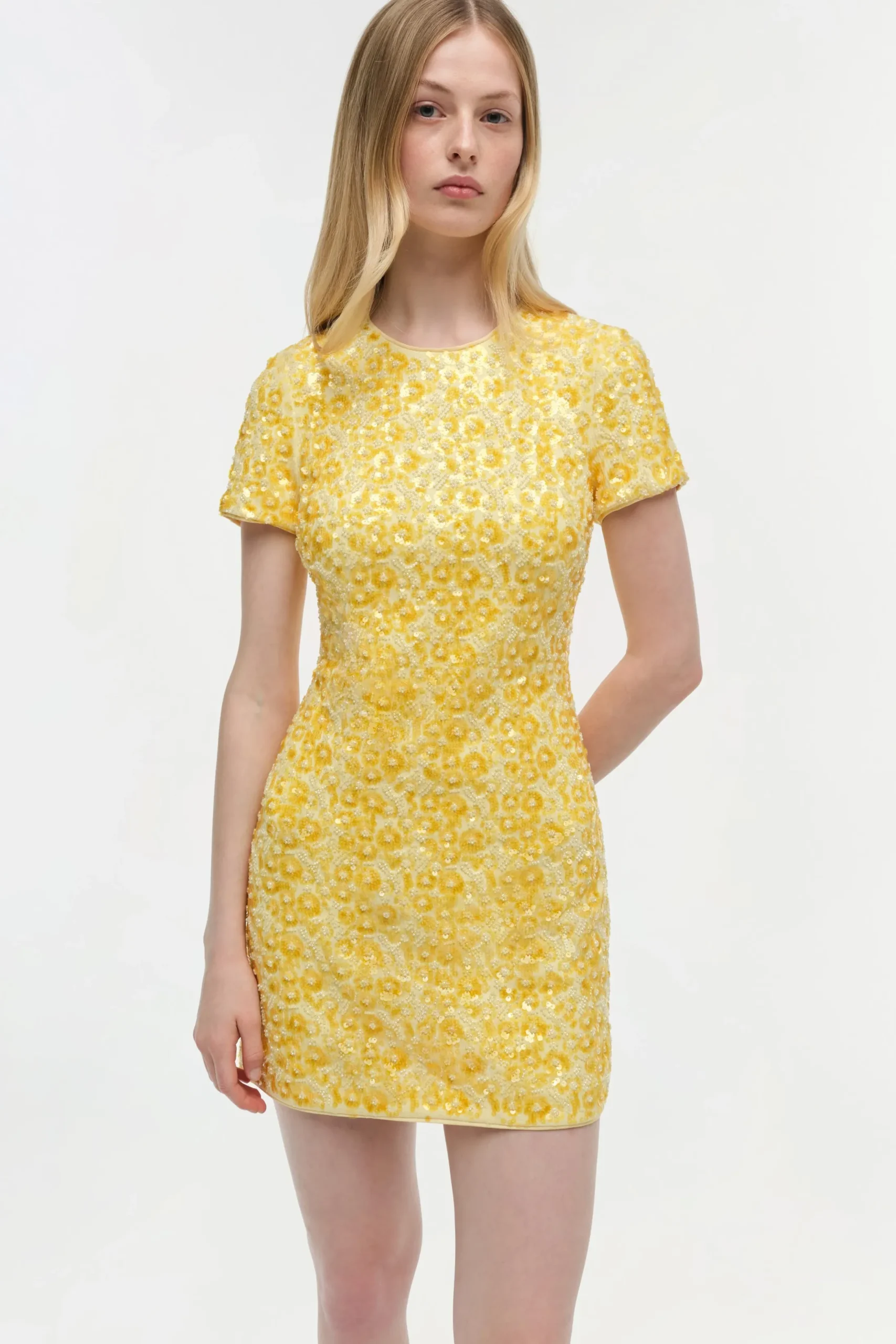 Women Simkhai Clove Embellished Mini Dress